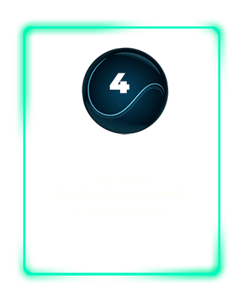 4. You now have a ballman nft in your wallet.